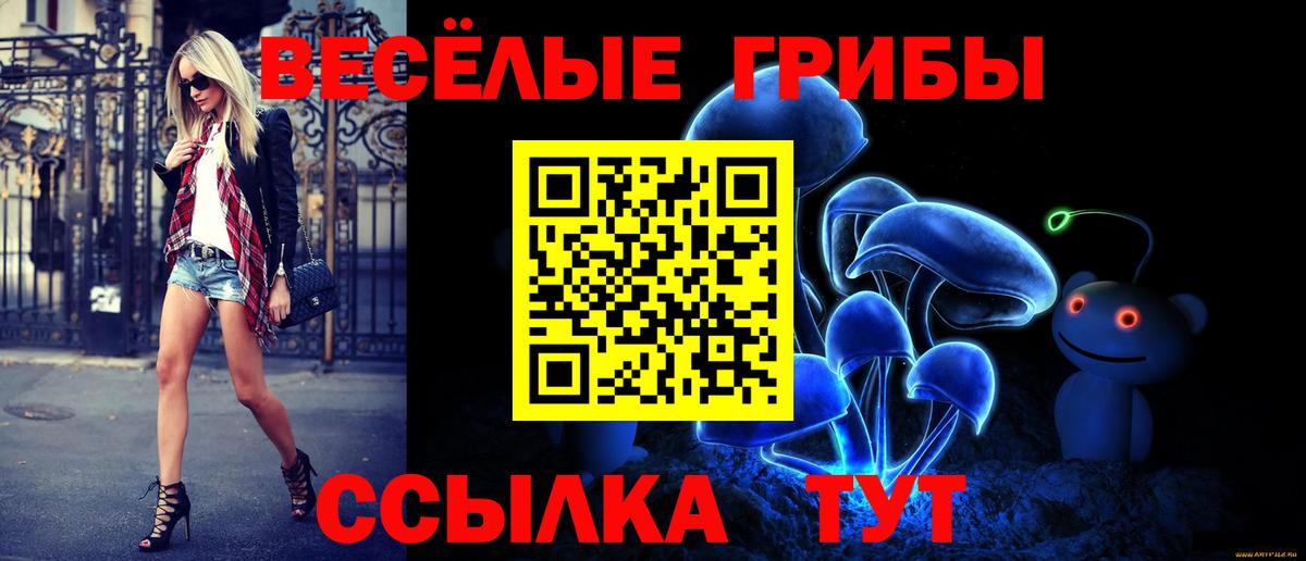 Псилоцибиновые грибы мухоморы  Вход с VPN  цена   Кстово 